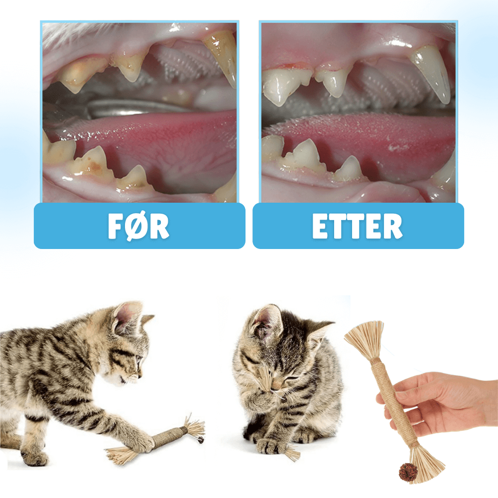 ChewStick™ - Naturlig Silvervine Tyggeleke for Katter (1+1 Gratis)