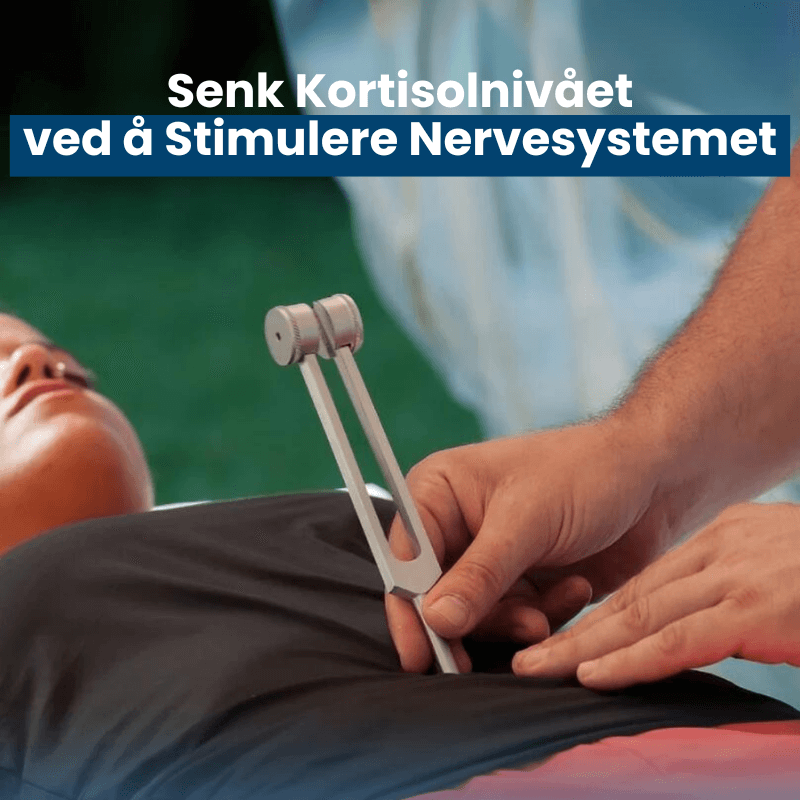 TheraFork™ -  128 Hz Dyphelende vibrasjonsterapi for kropp og sinn